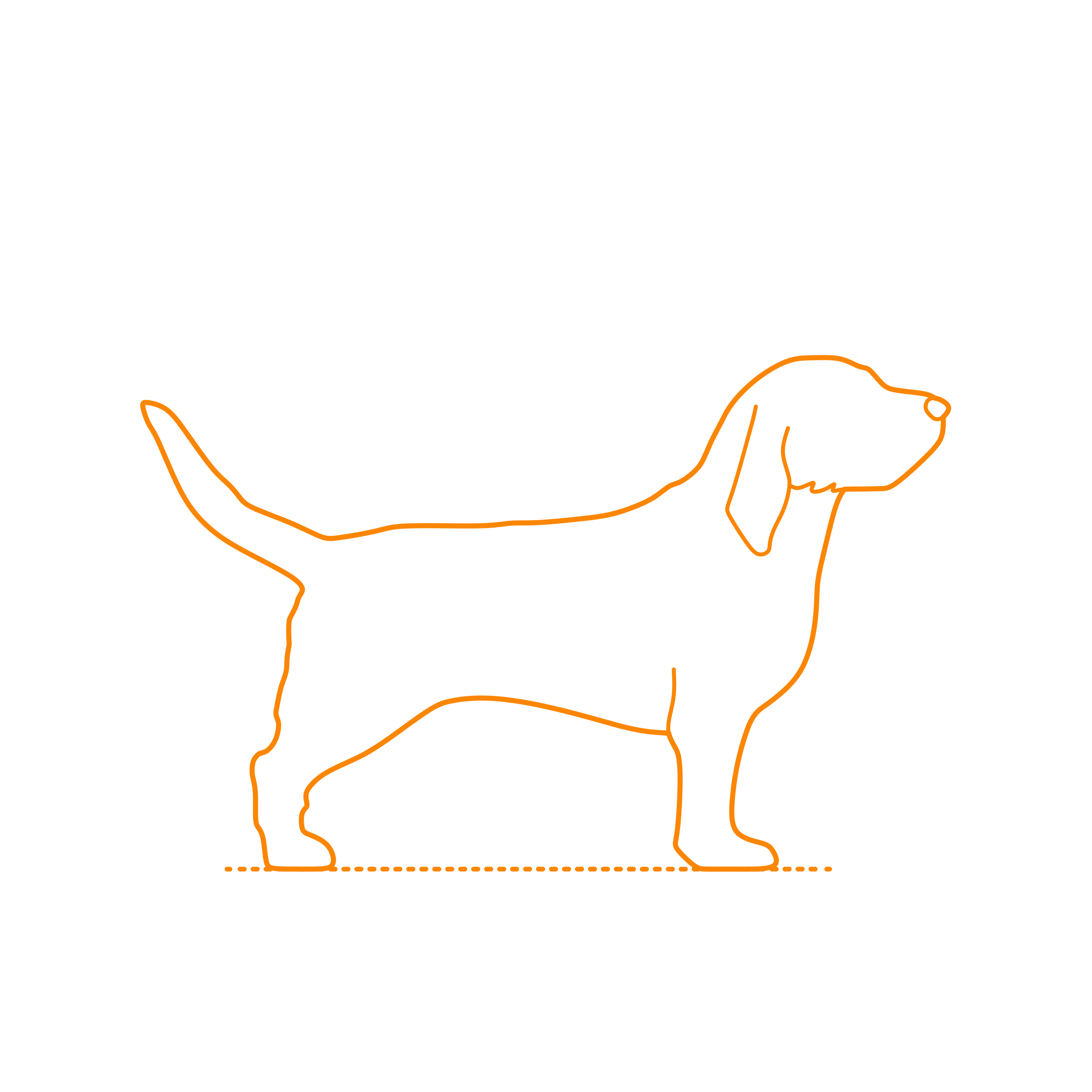 Animals Dogs Basset Fauve De Bretagne Tracing Svg Vector Free Vectors